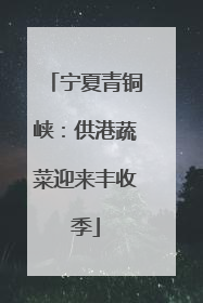 宁夏青铜峡：供港蔬菜迎来丰收季